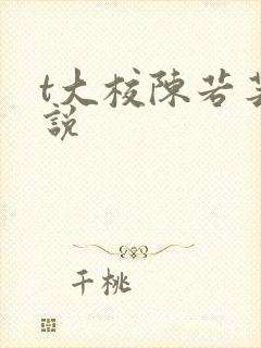 t大校陈若芸小说
