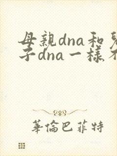 母亲dna和儿子dna一样不
