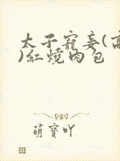 太子宠妾(高肉)红烧肉包