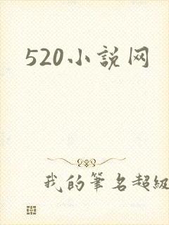 520小说网