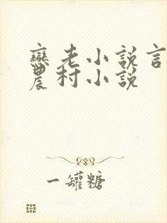 恋老小说言情网农村小说