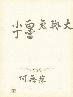 小白兔与大灰狼丁当