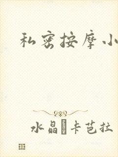 私密按摩小说