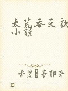 太荒吞天诀免费小说