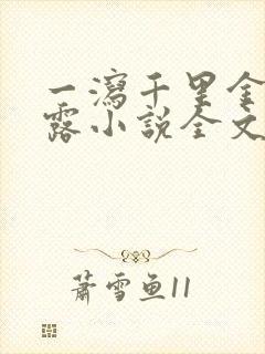 一泻千里金银花露小说全文免费阅读