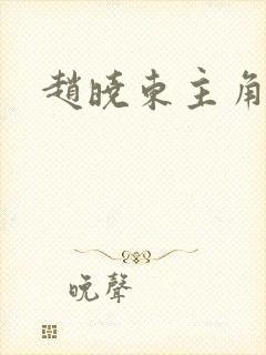 赵晓东主角小说