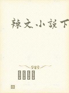 辣文小说下载