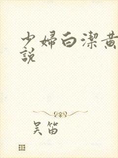 少妇白洁黄色小说