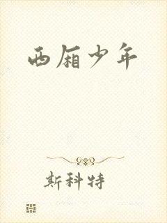 西厢少年