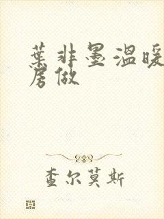 叶非墨温暖在厨房做