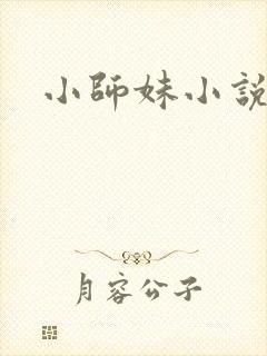 小师妹小说