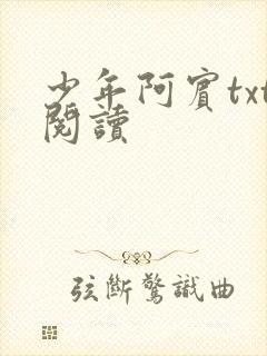 少年阿宾txt阅读