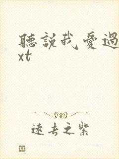 听说我爱过你txt