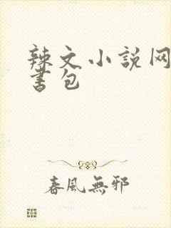 辣文小说网第二书包