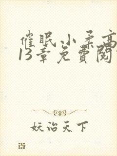 催眠小柔高达第13章免费阅读