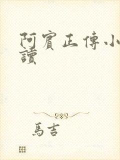 阿宾正传小说在读