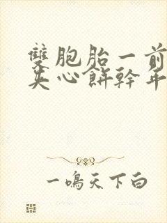 双胞胎一前一后夹心饼干年下