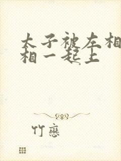 太子被左相和右相一起上