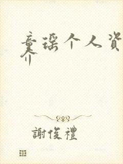 童瑶个人资料简介