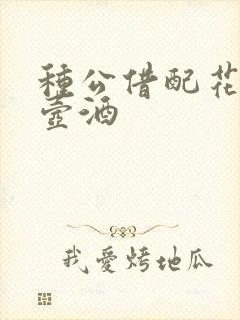 种公借配花间一壶酒