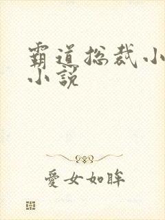 霸道总裁小娇妻小说