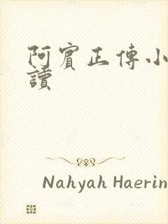 阿宾正传小说在读