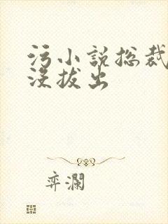 污小说总裁整夜没拔出