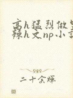 高h猛烈做哭高辣h文np小说