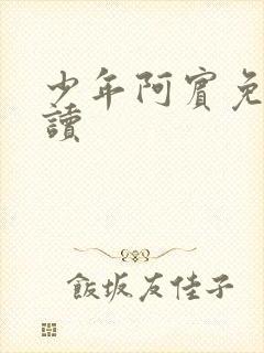 少年阿宾免费阅读