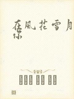 在风花雪月里等你