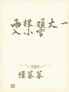 两根硕大一起挤入小雪