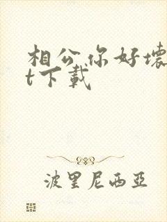 相公你好坏txt下载