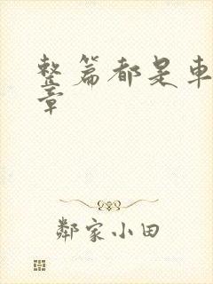 整篇都是车的文章