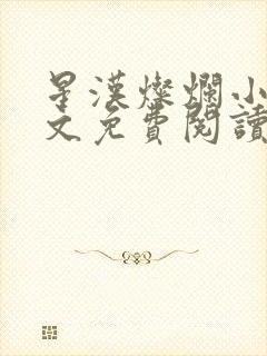 星汉灿烂小说全文免费阅读