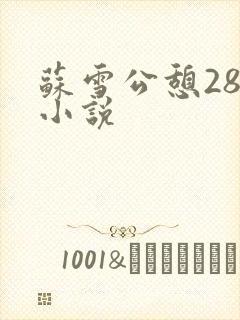 苏雪公憩28篇小说