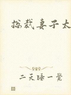 总裁妻子太诱人