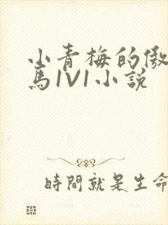 小青梅的傲娇竹马1V1小说