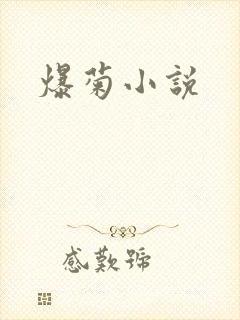 爆菊小说