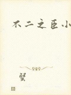 不二之臣小说