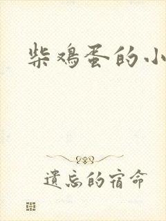 柴鸡蛋的小说