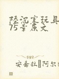 陆沉塞玩具高速75章原文