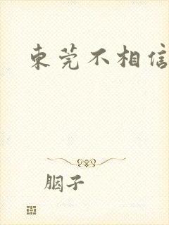 东莞不相信眼泪