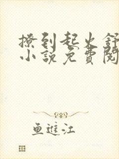 撩到起火舒漾的小说免费阅读全文