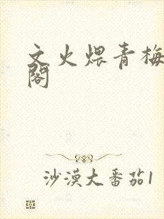 文火煨青梅笔趣阁