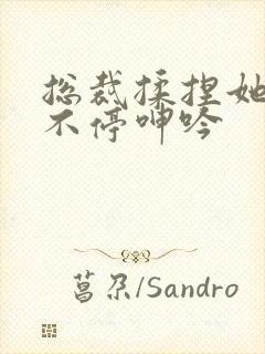 总裁揉捏她两乳不停呻吟