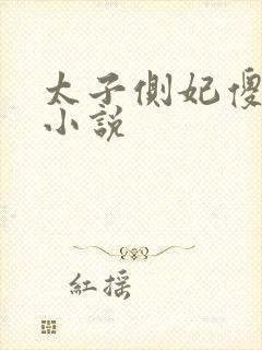 太子侧妃傻乎乎小说