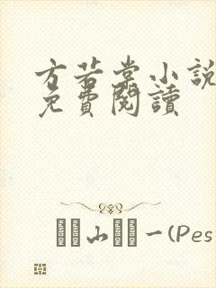 方若棠小说全文免费阅读