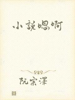 小说嗯啊