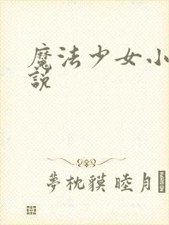 魔法少女小圆小说