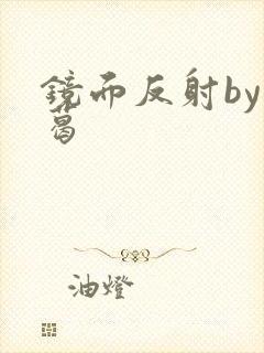 镜面反射by九葛